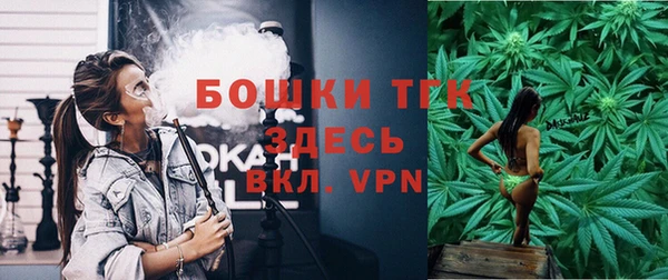 скорость Богородск